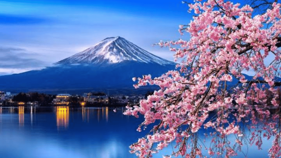 From Tokyo: Private Mount Fuji and Hakone Day Trip - Final Words
