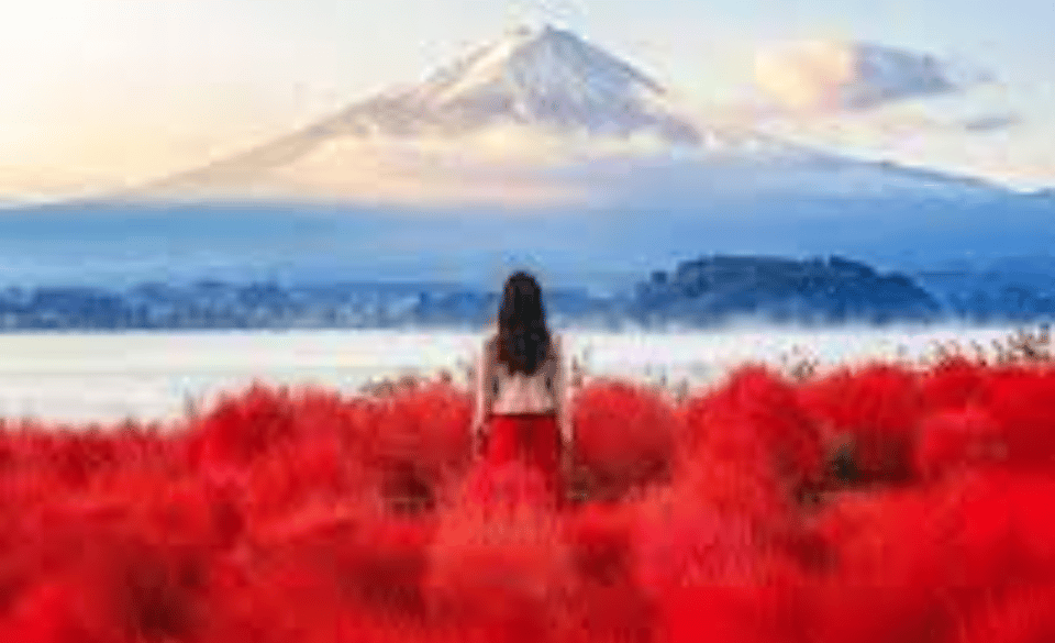 From Tokyo: Private Mount Fuji and Hakone Day Trip - Customer Feedback