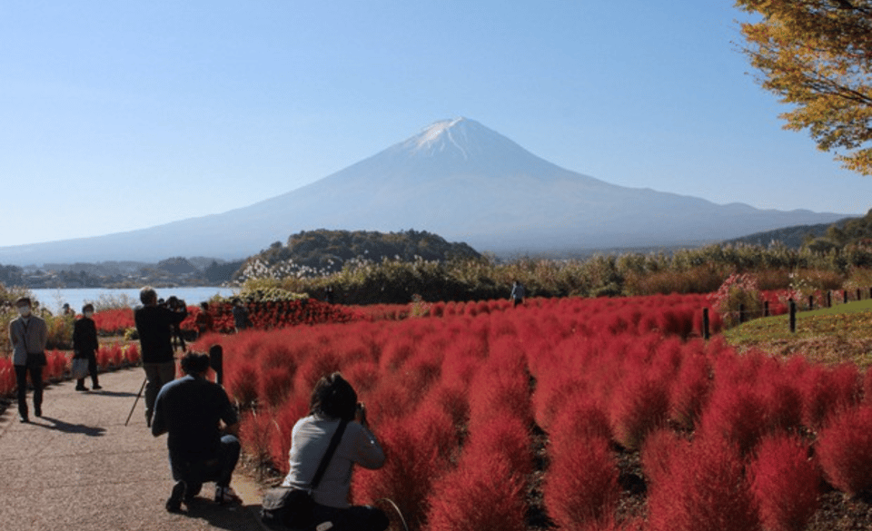 From Tokyo: Private Mount Fuji and Hakone Day Trip - Recommended Stops
