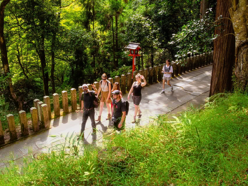 Hike the Mystic Northern Mountains of Kyoto - Just The Basics