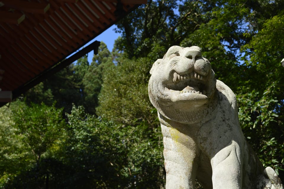 Hike the Mystic Northern Mountains of Kyoto - Customer Reviews