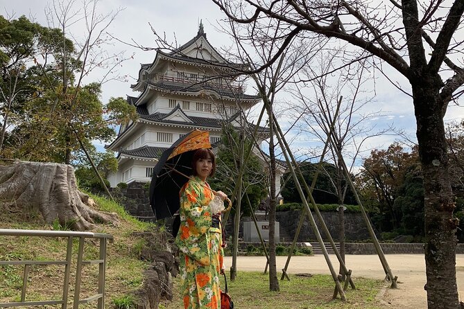 Kimono Dressing & Tea Ceremony Experience at a Beautiful Castle - Final Words