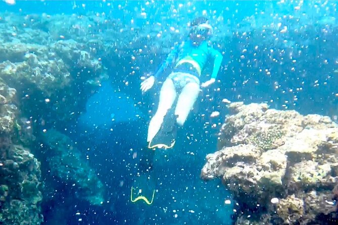 Tomori- Beach Blue Cave Snokering/ENGLISH PRIVATE - Cancellation Policy and Refunds