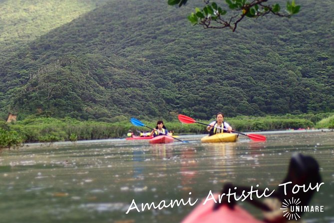 Enjoy a Private Mangrove Canoe in Amami – a Special Journey in Nature - Just The Basics