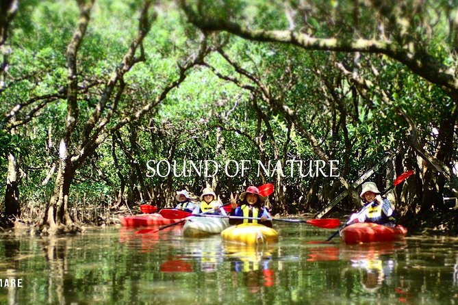 Enjoy a Private Mangrove Canoe in Amami – a Special Journey in Nature - Pickup Options and Transportation
