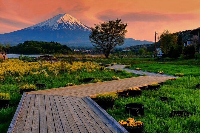 Mt. Fuji Five Lakes Area Private Tour With Licensed Guide(Kawaguchiko Area Dep) - Reviews and Ratings