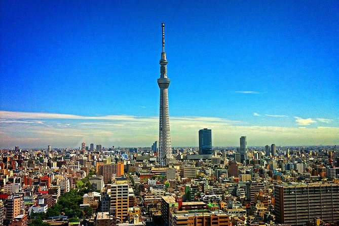 Shared Arrival Transfer : Narita International Airport to Hotel (Central Tokyo) - Cancellation Policy