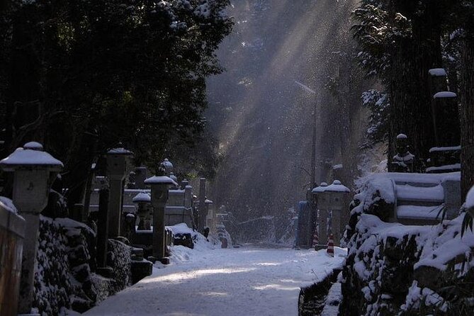 Mt Koya and Kumanokodo Walking 3 Day Tour From Osaka - Tips for Kumanokodo Walking Tour