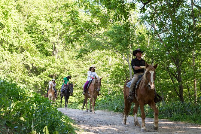 Horseback-Riding in a Country Side in Sapporo - Private Transfer Is Included - Why Choose This Tour