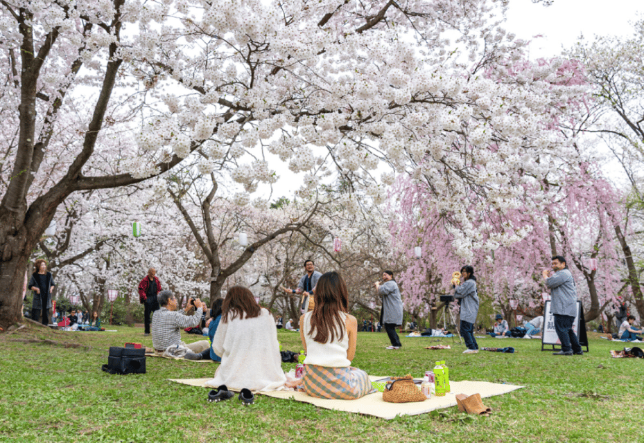 Private & Unique Kanazawa Cherry Blossom "Sakura" Experience - Booking Information