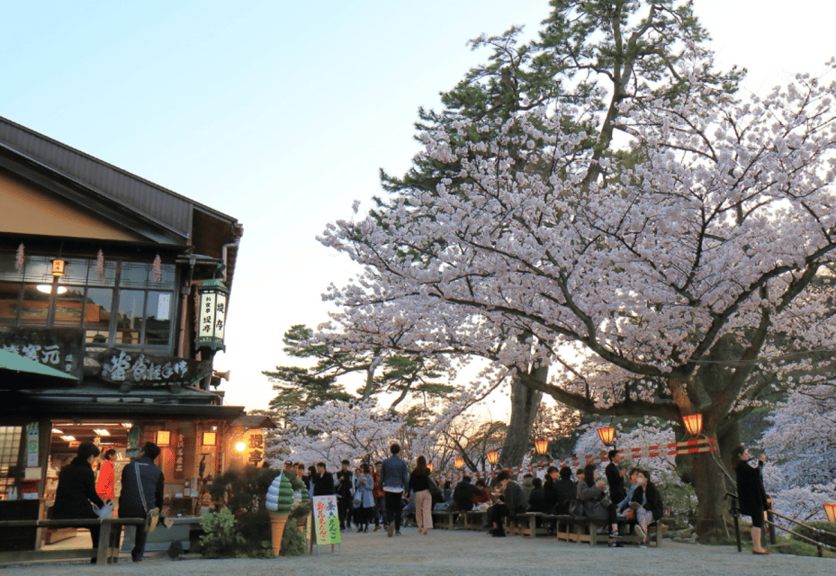 Private & Unique Kanazawa Cherry Blossom "Sakura" Experience - Experience Highlights