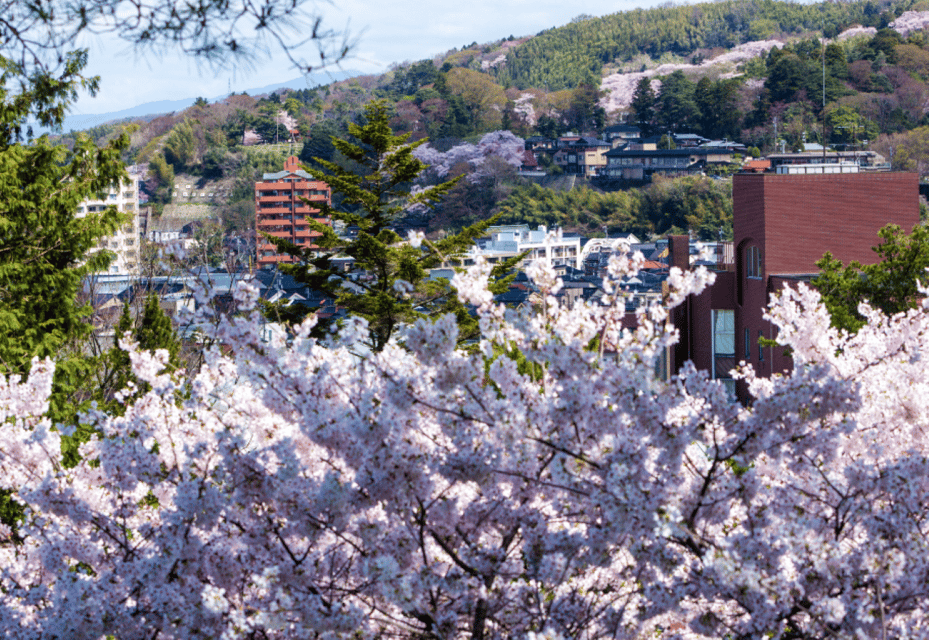 Private & Unique Kanazawa Cherry Blossom "Sakura" Experience - Additional Notes