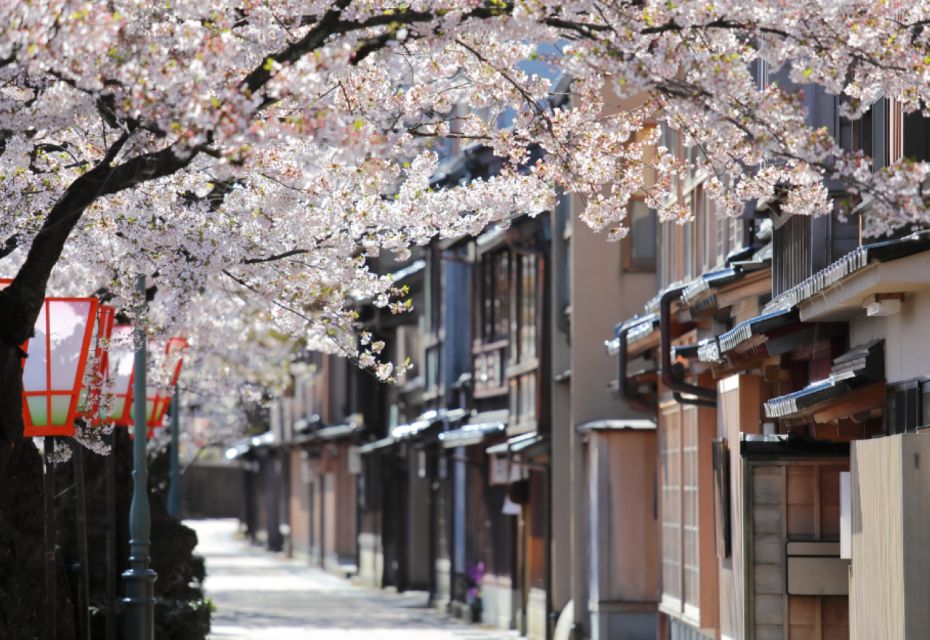 Private & Unique Kanazawa Cherry Blossom "Sakura" Experience - Live Tour Guide