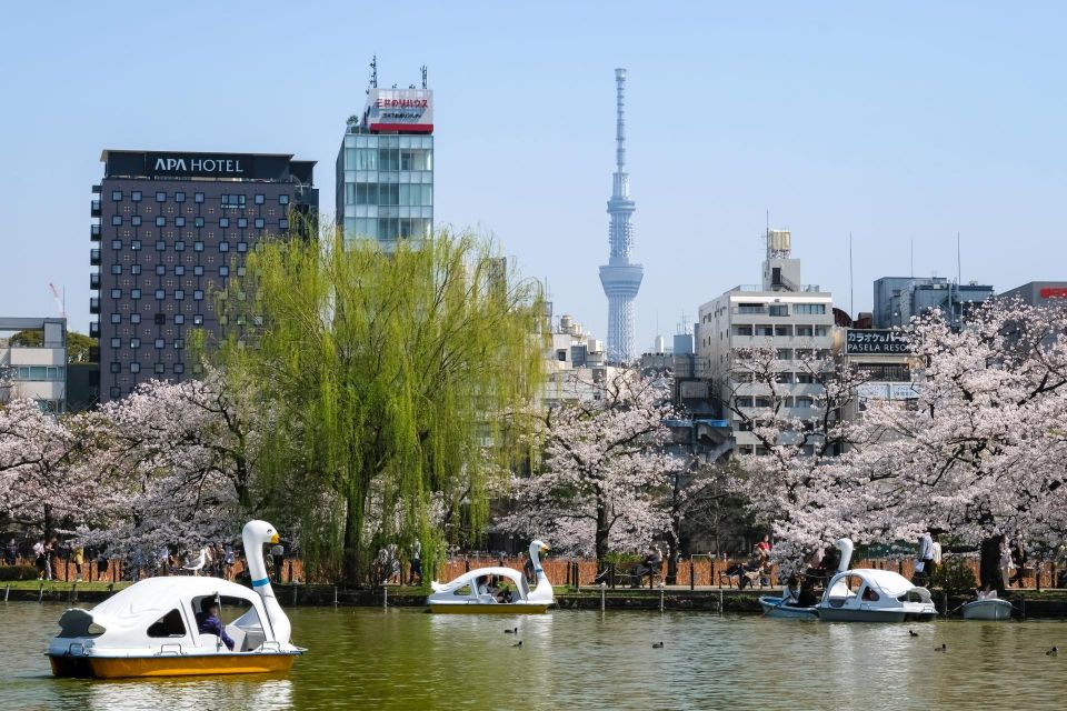 Tokyo: Ueno Fully Comprehensive Tour. Ueno Park to Izakaya. - Final Words