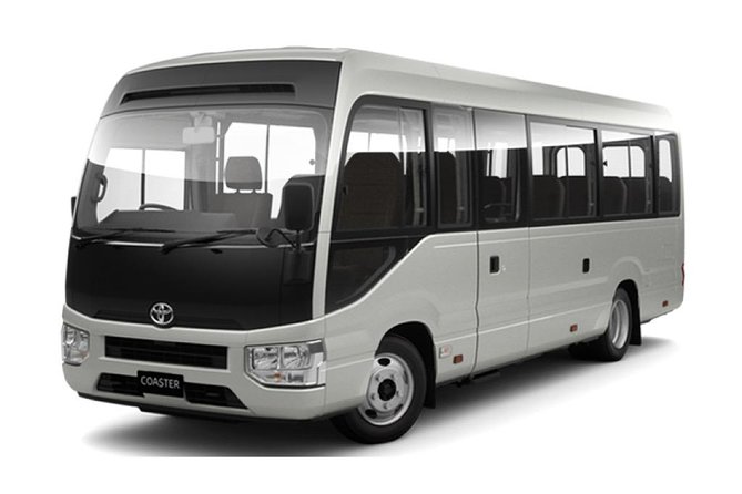 Private & Custom NABANA NO SATO Day Tour by Toyota COASTER/MICROBUS (Max 27 Pax) - Just The Basics