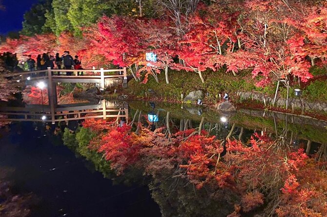 Private & Custom NABANA NO SATO Day Tour by Toyota COASTER/MICROBUS (Max 27 Pax) - Transportation Details