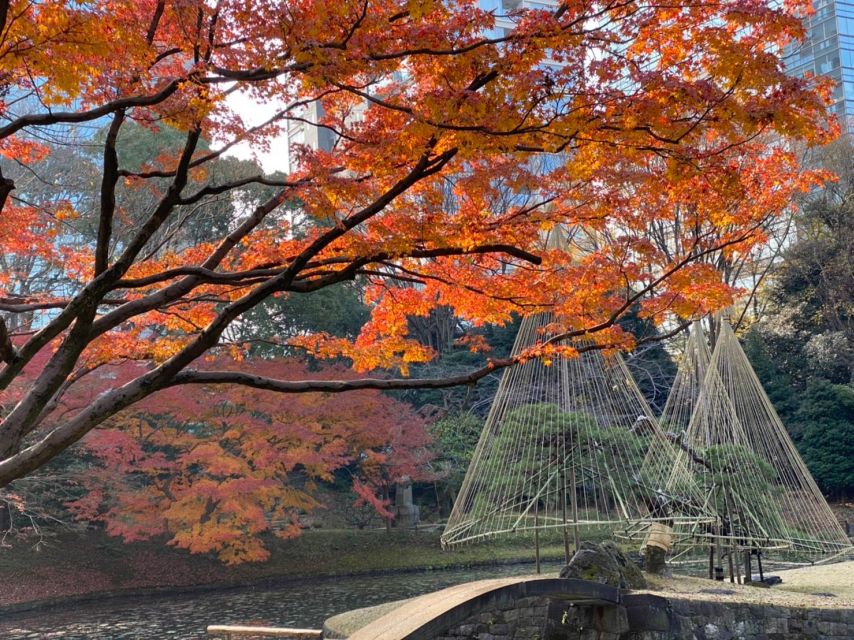 Tokyo: Full Day Tour, Private Guide&Customizable Itinerary - Tour Location and Additional Benefits