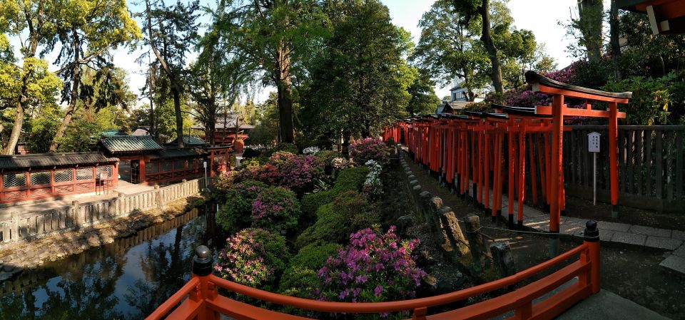 Tokyo: Full Day Tour, Private Guide&Customizable Itinerary - Final Words