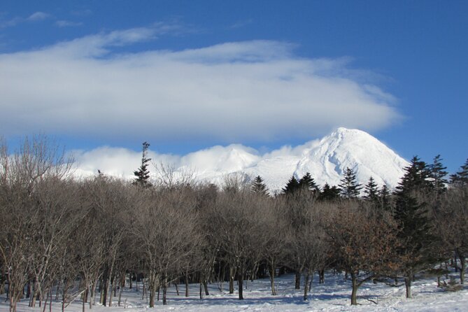3.5hours Primeval Forest Snowshoe hike and Wildlife Watching Tour - Animal-made paths: why the hike feels more authentic