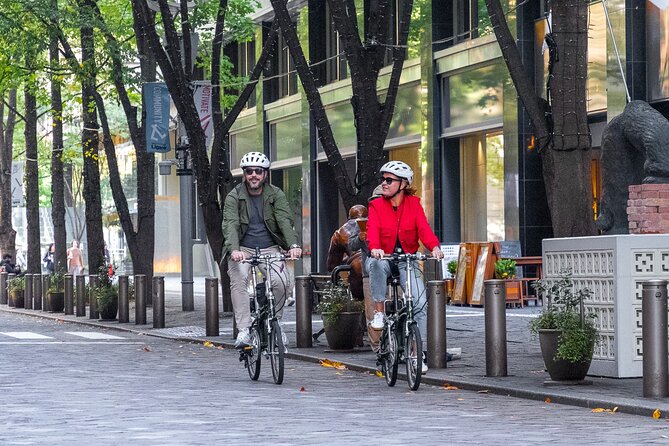 3-Hour Tokyo Private E-Bike Tour Starting from Your Hotel - Why This 3-Hour Tokyo E-Bike Tour Feels Like a Shortcut