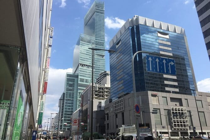 4/5/6 Hours Private Osaka Tour Designed for Cruise Passengers - Dotonbori District: photos, the Running Man, and how to read the street