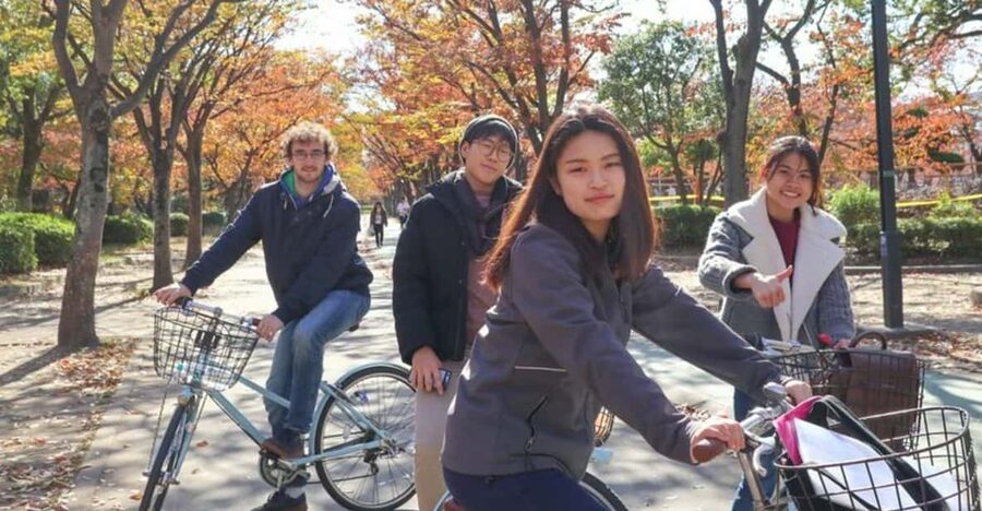 5-Hour Osaka Highlights Bike Tour with Lunch - Price and value: what $85 covers, and what you may pay extra