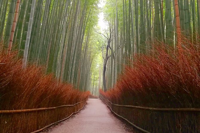 5 Top Highlights of Kyoto Full Day Bike Tour (E-bike option) - Gion: The Geisha District Without Getting Lost in the Noise