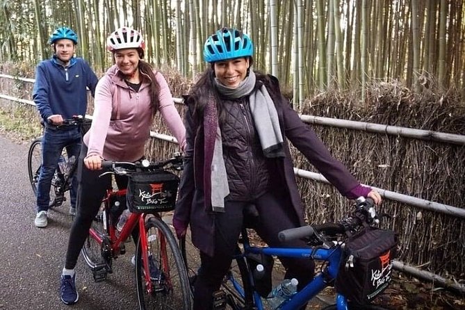 5 Top Highlights of Kyoto Full Day Bike Tour (E-bike option) - Choosing a Regular Bike vs the E-bike Option