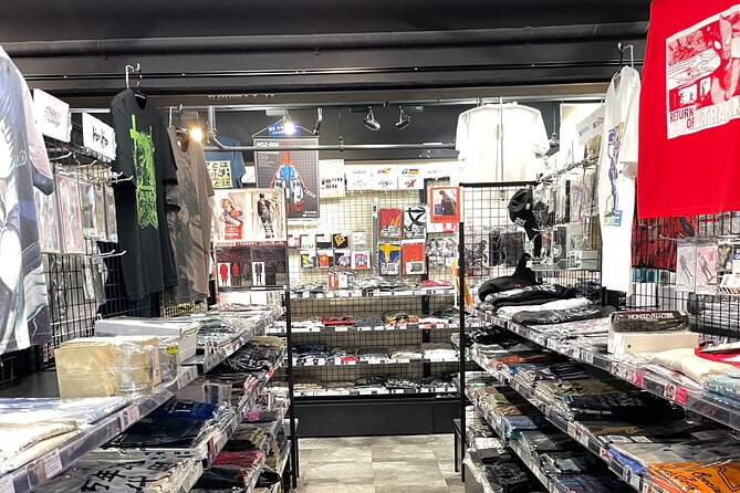 Akihabara Otaku Group Tour - How the max 10 group size changes everything