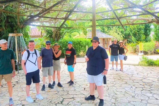 All-Inclusive Ishigaki Island Shore Excursion with English Guide - All-inclusive extras you do not want to think about on vacation