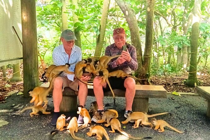 All-Inclusive Ishigaki Island Shore Excursion with English Guide - Should you book this Ishigaki shore excursion?