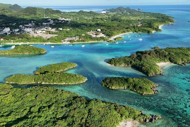 All-Inclusive Ishigaki Island Shore Excursion with English Guide - Small-group pickup and comfort in an air-conditioned van