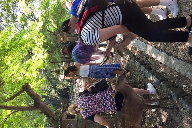 All must-sees in 3 hours - Nara Park Classic Tour! From JR Nara! - Price and value check: why $42.94 can make sense in Japan