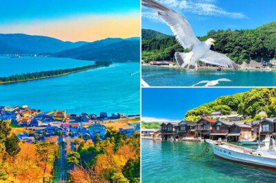 Amanohashidate & Ine Boathouse Full-Day Tour from Kyoto or Osaka