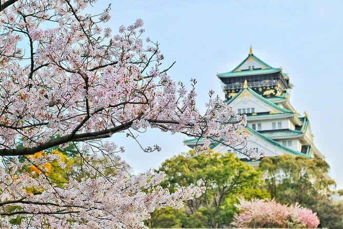 Amanohashidate & Ine Boathouse Full-Day Tour from Kyoto or Osaka - Chion-ji Temple: Quick Culture Stop With Fortune Paper and a Revolving Bridge