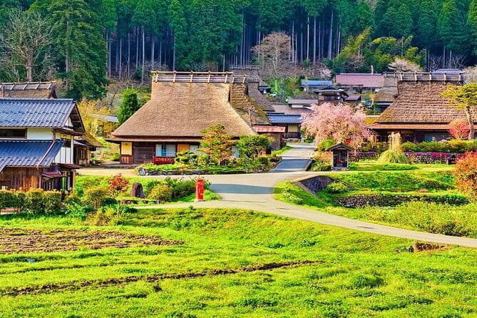 Amanohashidate & Ine Funaya Kyoto coast day trip from Osaka/Kyoto - Ropeway, Optional Tickets, and the Lunch You Control