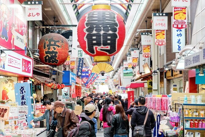 Amanohashidate & Ine Funaya Sightseeing Full Day Trip from Kyoto - Stop 5: Ine Bay Sightseeing Boat and Sea Bird Chaos