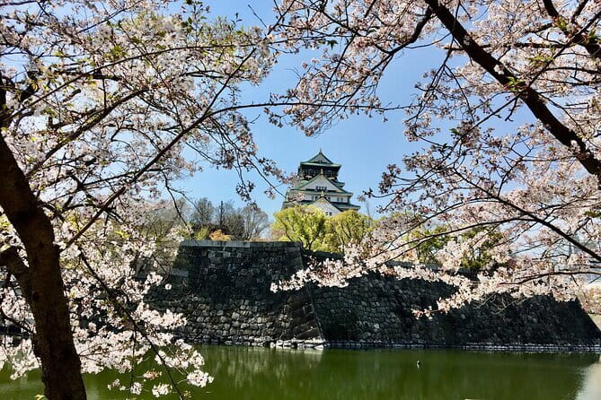 Amanohashidate & Ine Funaya Sightseeing Full Day Trip from Kyoto - Stop 6 to 9: Amanohashidate Viewland, Chion-ji, Kaisen Bridge, and the Beach