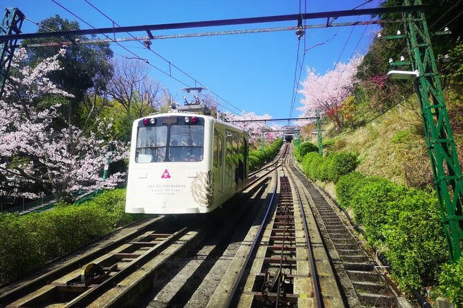 Amanohashidate & Miyama 1-Day Bus Tour: From Osaka/Kyoto w/ Lunch - Amanohashidate and Miyama in one long day