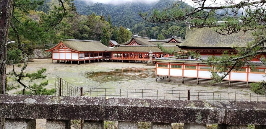 Amazing Hiroshima: Private City Tour with a Local Guide - Hiroshima Castle and Shukkei-en Garden for context and calm
