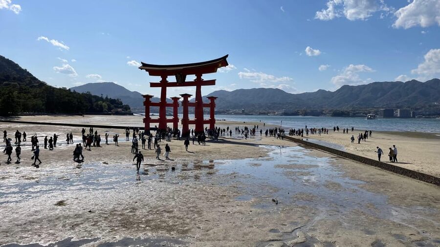 Amazing Hiroshima: Private City Tour with a Local Guide - Daisho-in and optional Mount Misen, plus island time for food