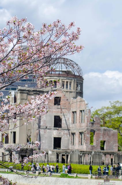 Amazing Hiroshima: Private City Tour with a Local Guide - Peace Memorial Park, where your guide sets the tone