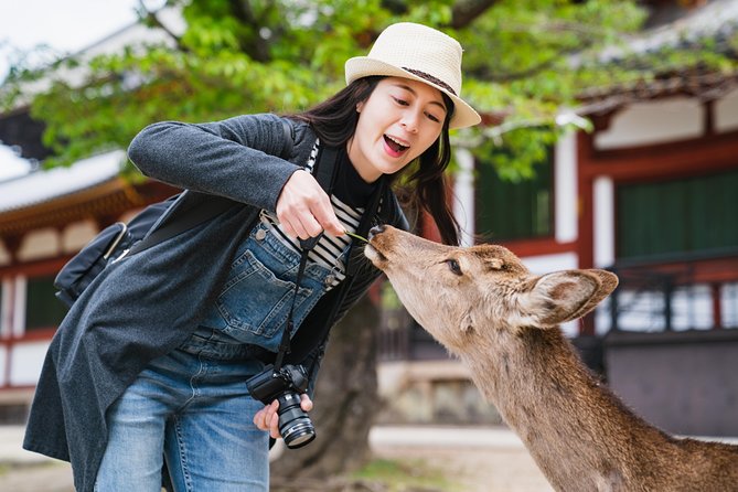 Ancient Capital Tour: Kyoto and Nara Highlights from Kyoto/Osaka - Key things that make this day trip work