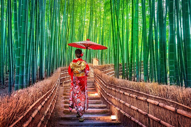 Ancient Capital Tour: Kyoto and Nara Highlights from Kyoto/Osaka - Guides and group size: what you can count on (and what can vary)