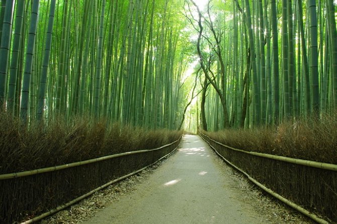 Ancient Capital Tour: Kyoto and Nara Highlights from Kyoto/Osaka - Timing strategy: how to make the day feel less rushed
