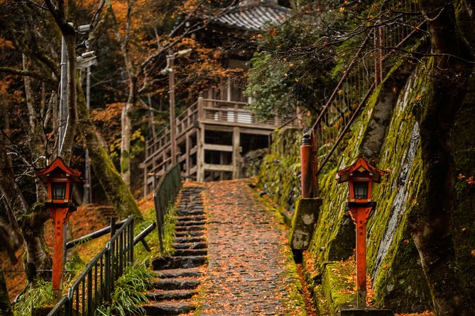 Arashiyama Bamboo Forest E-Biking Tour - The Route Philosophy: Temples First, Then Bamboo, Then the Countryside Feeling