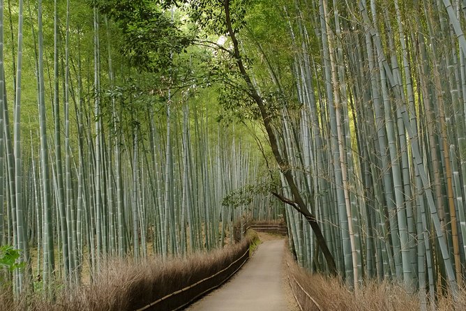 Arashiyama Bamboo Forest E-Biking Tour - Stop 1: Otagi Nenbutsu-ji, the Laughing Buddha World