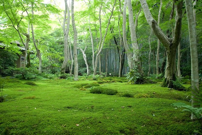 Arashiyama Bamboo Forest E-Biking Tour - Stop 2: Tōji-in Temple and a Quiet Break Between the Streets