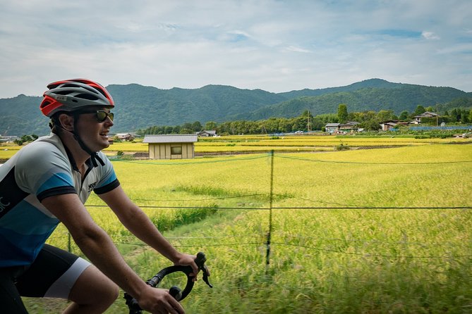 Arashiyama Bamboo Forest E-Biking Tour - Stop 3: Arashiyama Bamboo Forest Trail Walk (and the Crowd Reality)