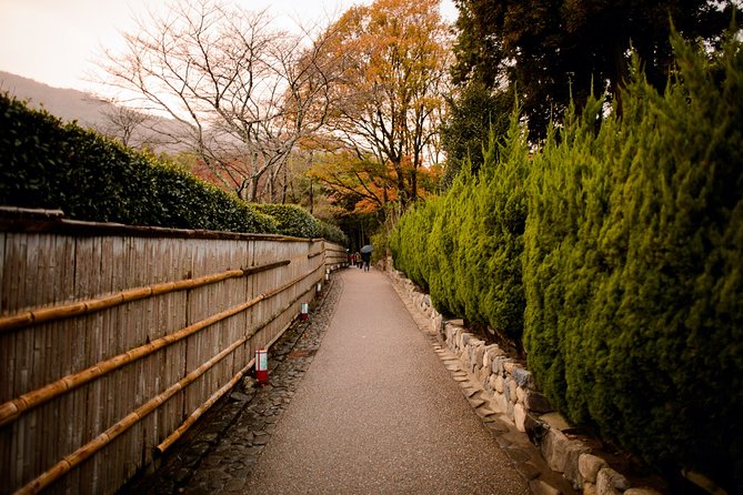 Arashiyama Bamboo Forest E-Biking Tour - Riding Tips You’ll Be Glad You Know Before You Mount